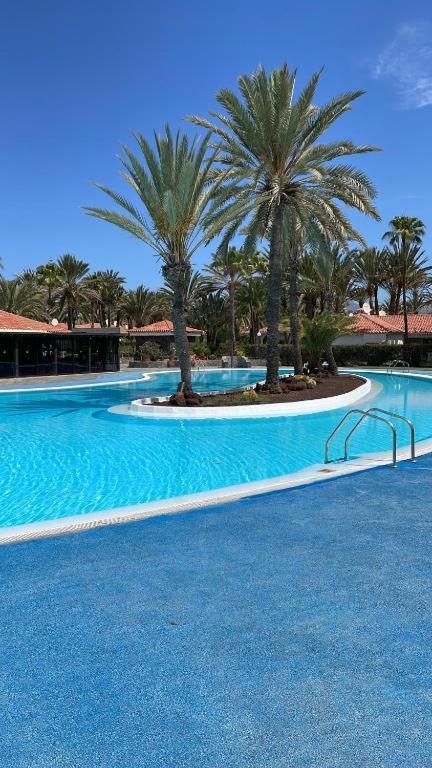 Sun Club Luxus Bungalow Projecto 65 Maspalomas (Gran Canaria) Exterior foto