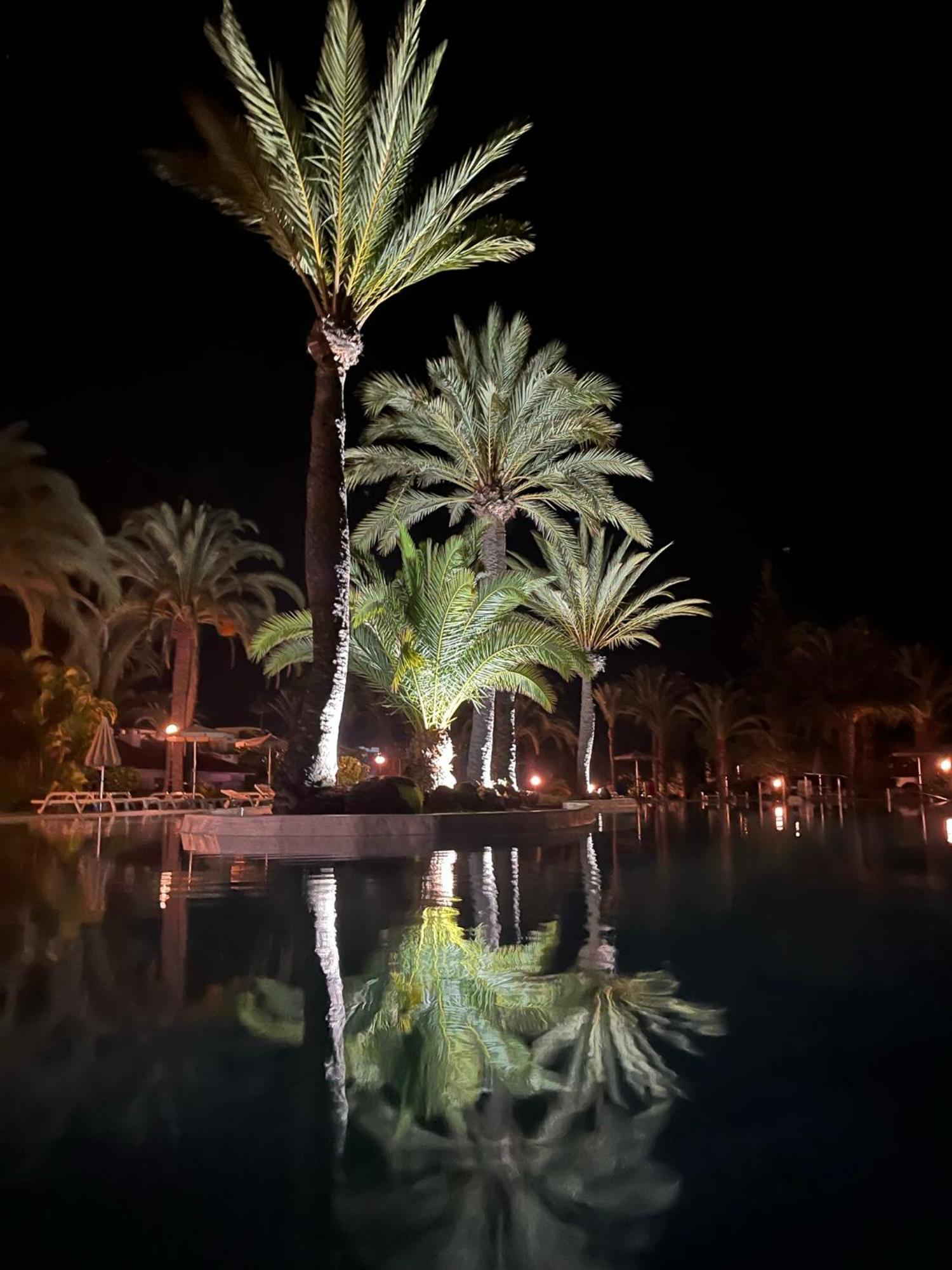 Sun Club Luxus Bungalow Projecto 65 Maspalomas (Gran Canaria) Exterior foto